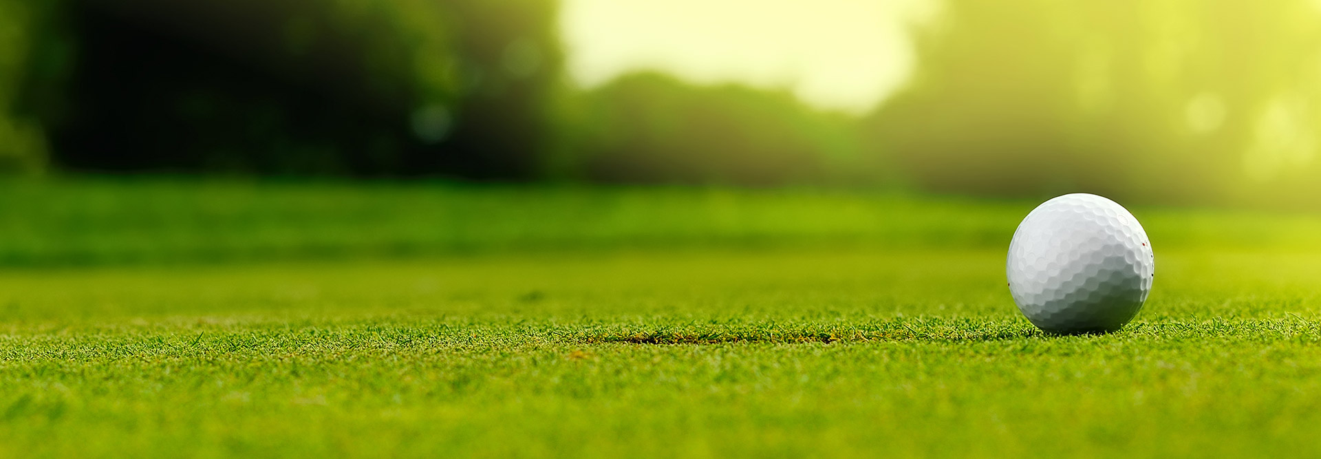 golf clubs Shop 10 golf clubs Shop -golf clubs Shop 71170836 d333 4fd9 92da 36b40f8eeaf2